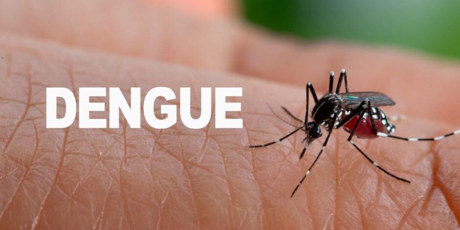dengue