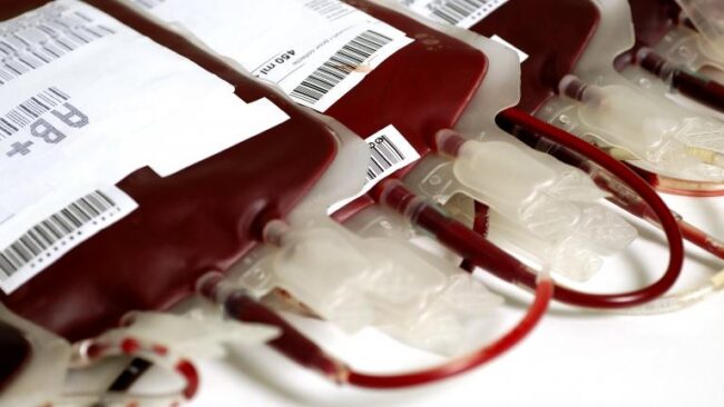 transfusion