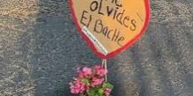 bache corazon