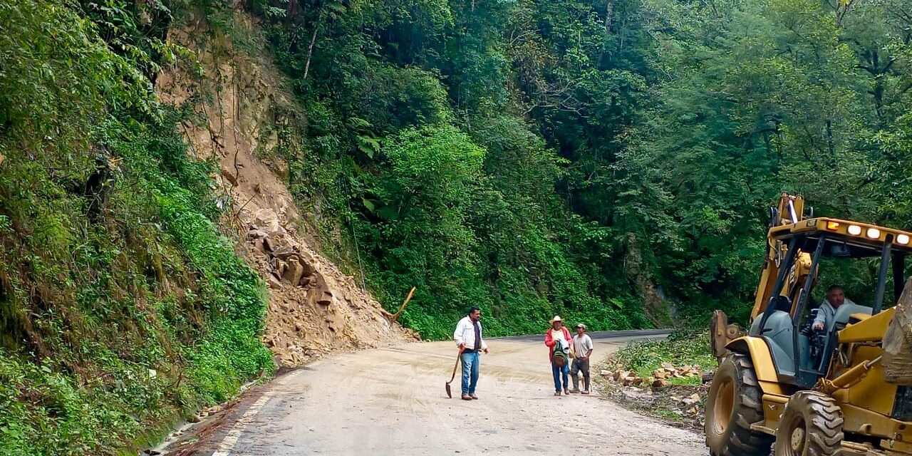 maquinaria damnificados