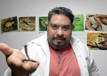 Investigador BUAP descubre una nueva especie de serpiente endémica de Puebla