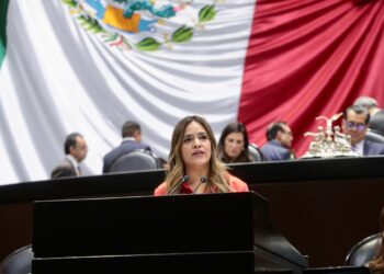 PRI votará en contra de la Reforma Electoral; Xitlalic Ceja advierte riesgos para la democracia