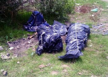 Seguridad confirma 15 cuerpos abandonados en la capital; nueve en el sur
