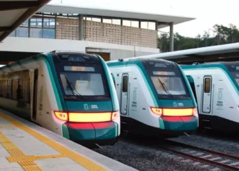 Denuncian obras ilegales en tramo del Tren Maya pese a clausura ambiental