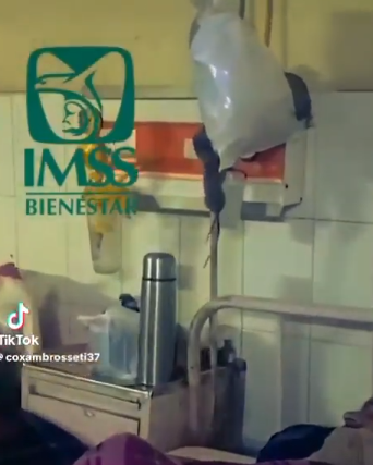 “Primero medicamentos, ahora ratas”: ironizan sobre crisis en centros de salud