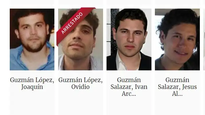 Periodista plantea posible entrega de los dos Chapitos que permanecen prófugos; crecen las especulaciones sobre el futuro del Cártel de Sinaloa