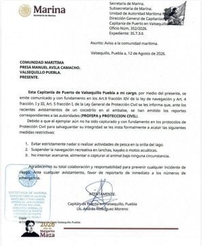 ¿Cocodrilo en Valsequillo? Autoridades lanzan alerta y frenan actividades en el embalse