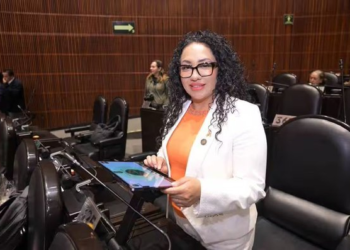 Muere a los 44 años Anay Beltrán Reyes, diputada federal de Morena