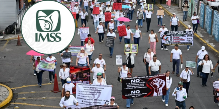 Trabajadores del IMSS