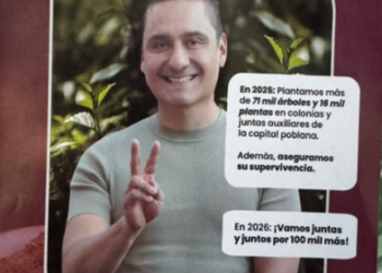 Iván Herrera, bajo críticas por propaganda en calles y gasto de 8 millones de pesos en árboles